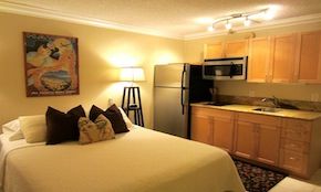Fully Stocked Beachside Studio in Waikiki; Cookware and Beach gear included!