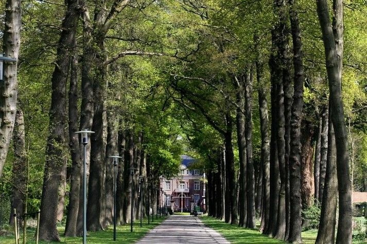 AreaSummer5KM