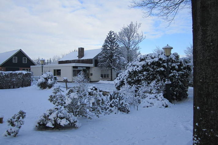 GardenWinter