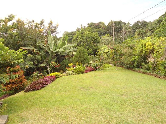 View of garden