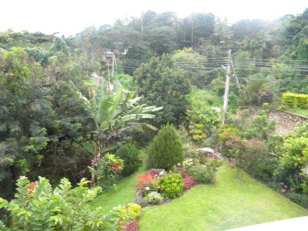 View of Garden below