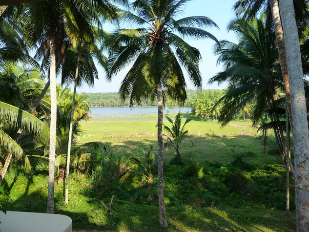 view from the apartment