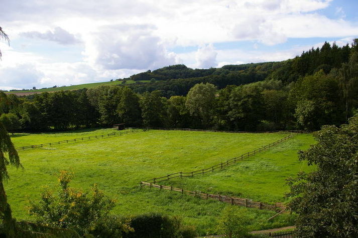 ViewSummer
