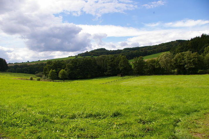 ViewSummer