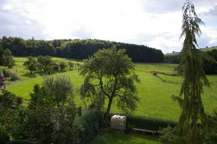 ViewSummer