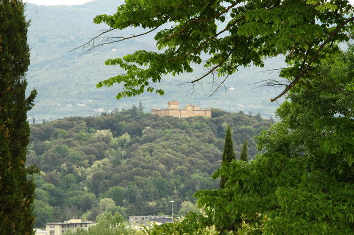 ViewSummer