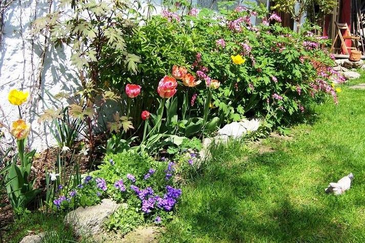 GardenSummer