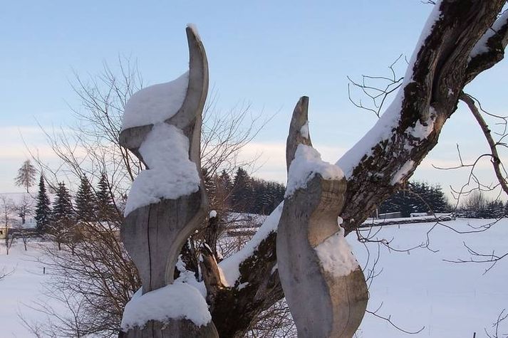 GardenWinter