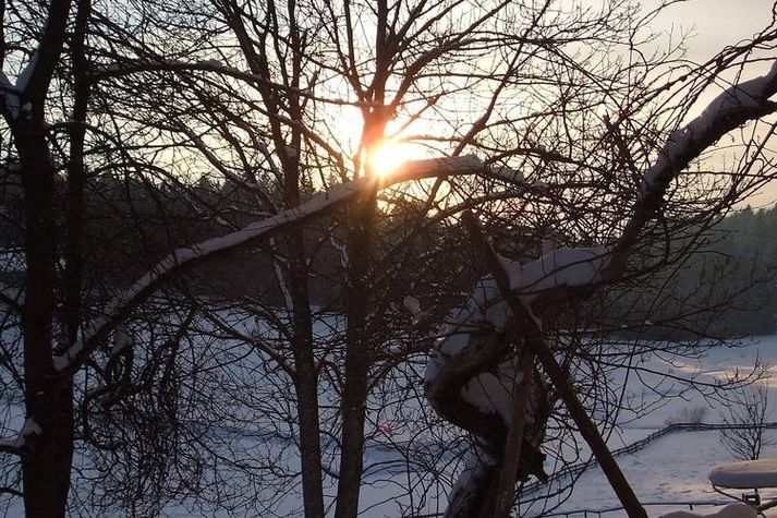 GardenWinter