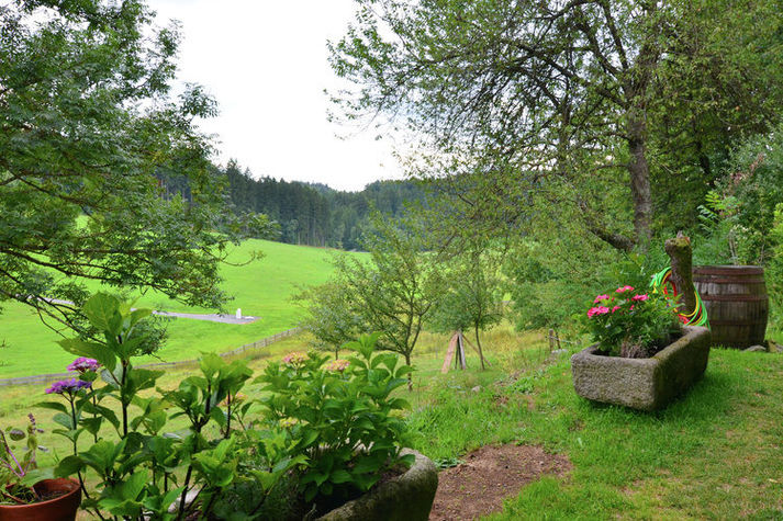 GardenSummer