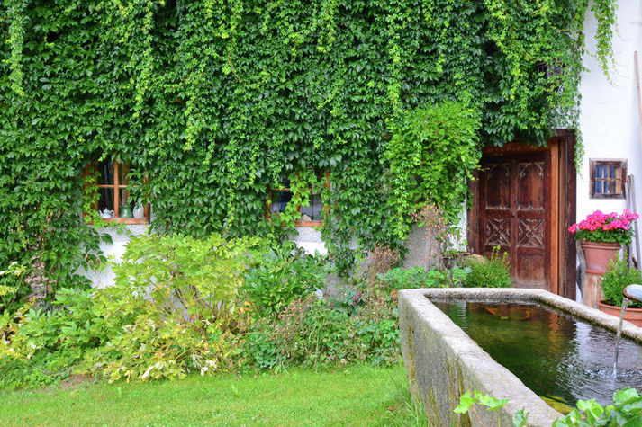 GardenSummer