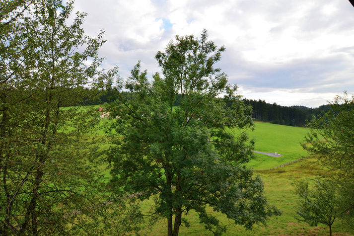 ViewSummer