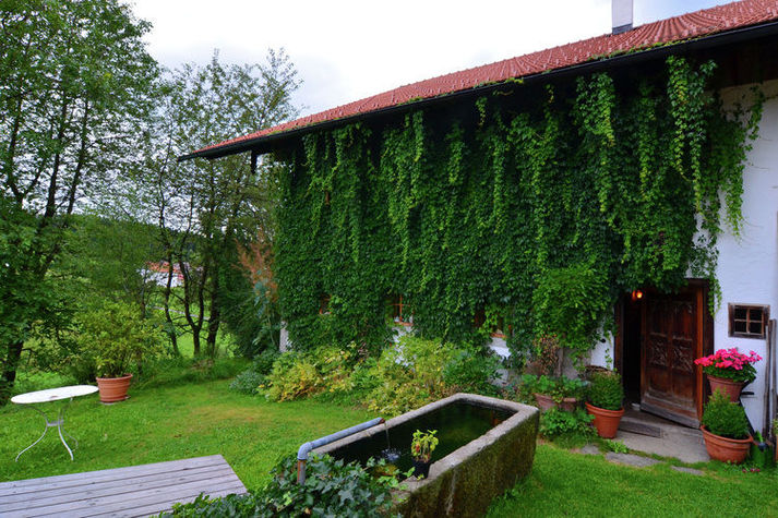 GardenSummer