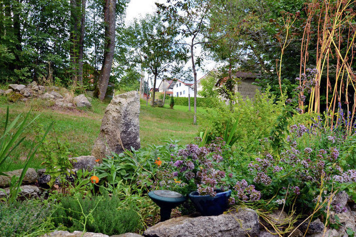 GardenSummer