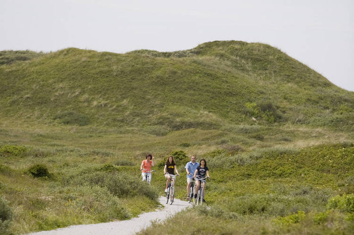 AreaSummer20KM