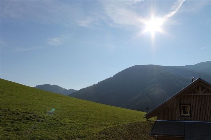 ViewSummer