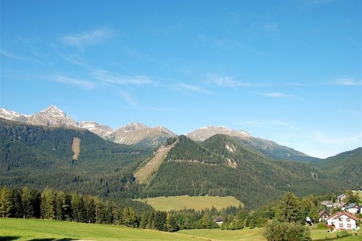 ViewSummer