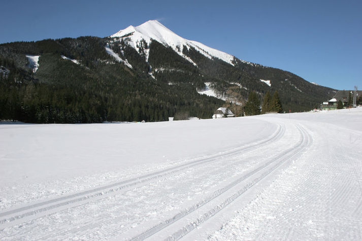 AreaWinter5KM
