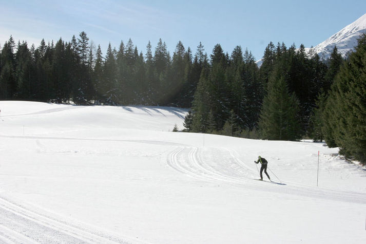 AreaWinter5KM