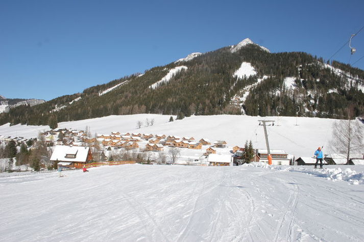 AreaWinter1KM