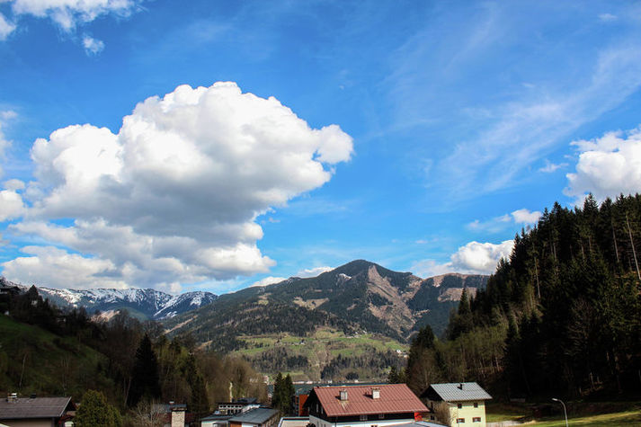 ViewSummer