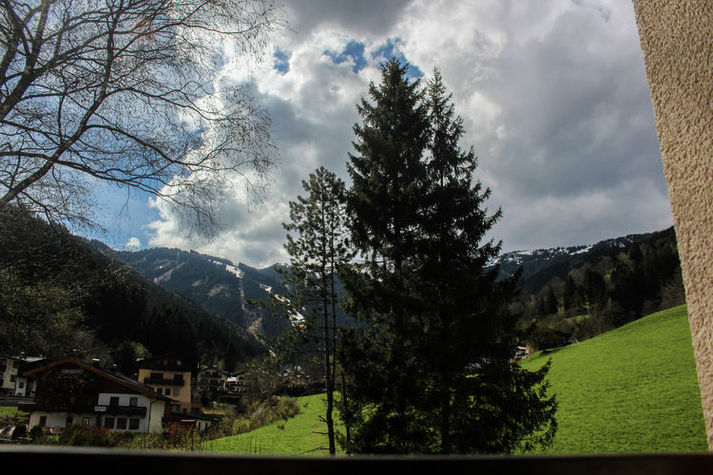 ViewSummer