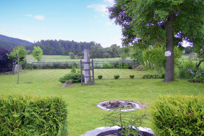 ViewSummer