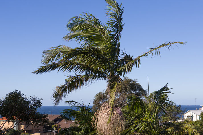 View from Balcony - Southern End