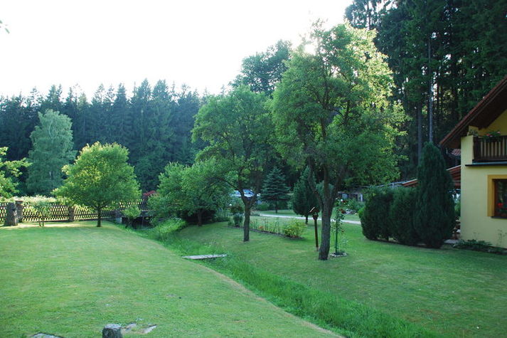 GardenSummer