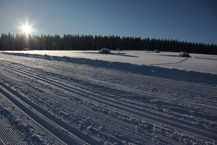 AreaWinter5KM