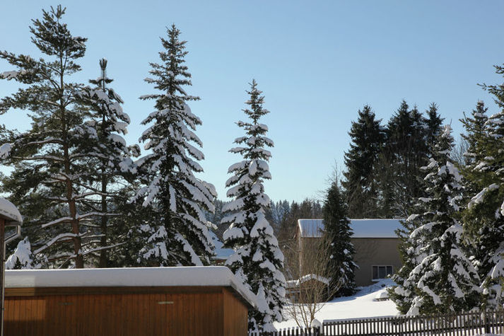 ViewWinter