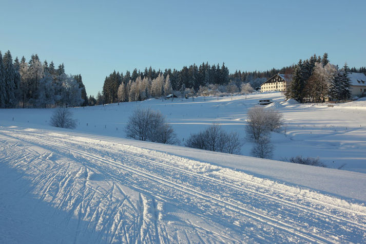 AreaWinter5KM