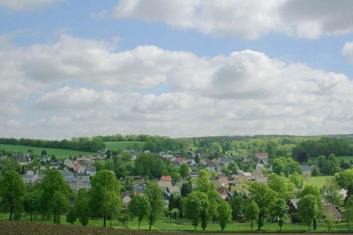 ViewSummer