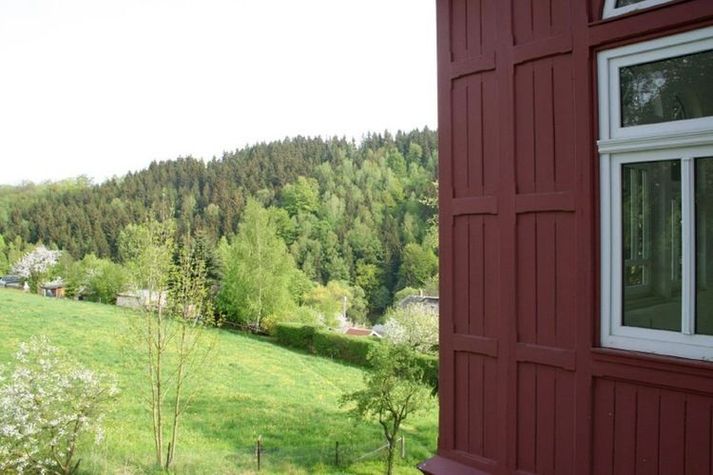 ViewSummer