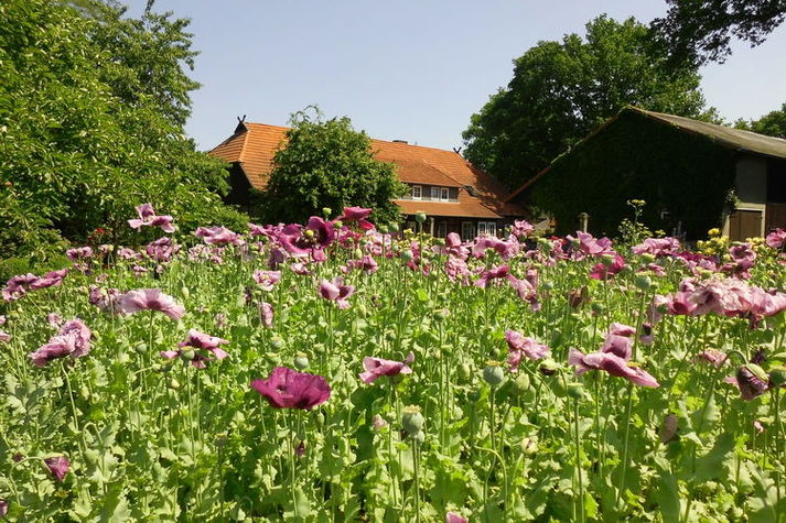ExteriorSummer