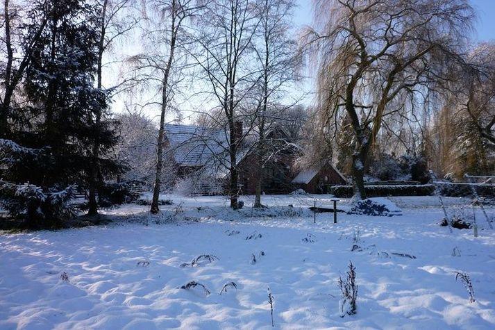 ExteriorWinter