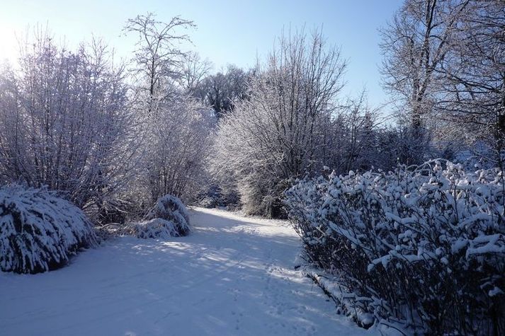 ExteriorWinter