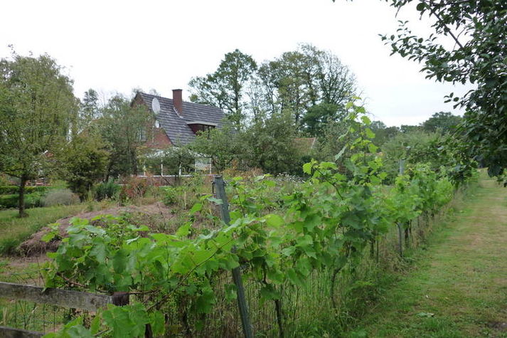 GardenSummer