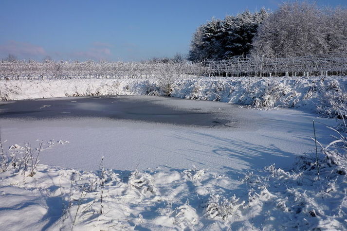 GardenWinter