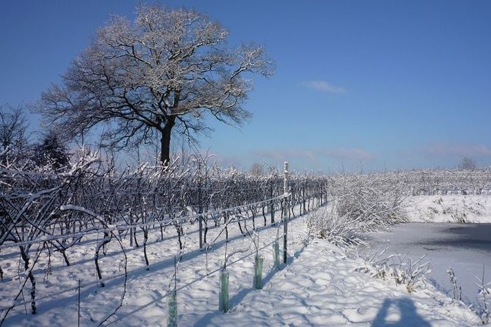 GardenWinter