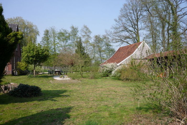 ViewSummer