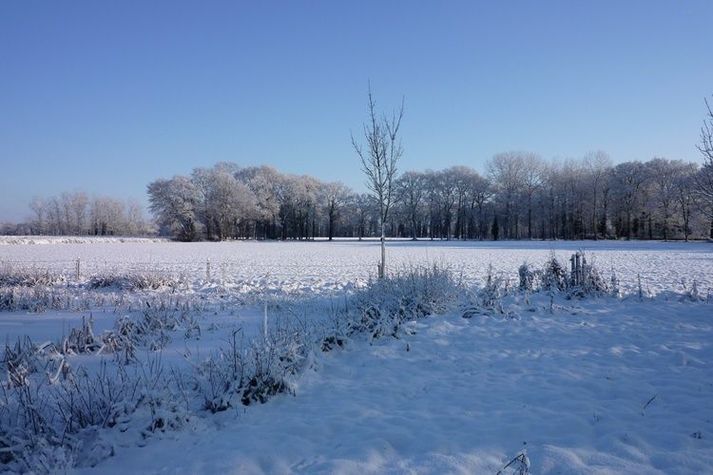 ViewWinter