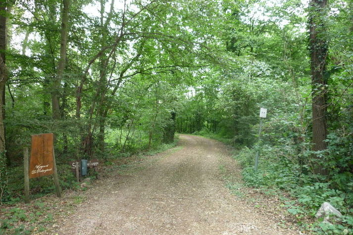AreaSummer1KM