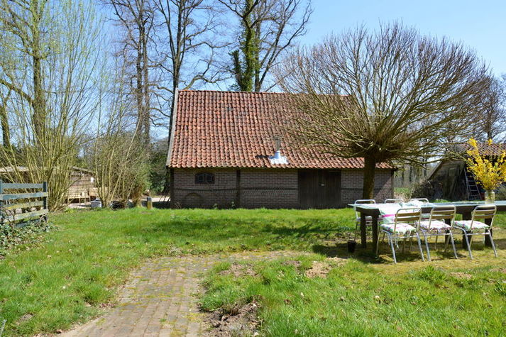 GardenSummer