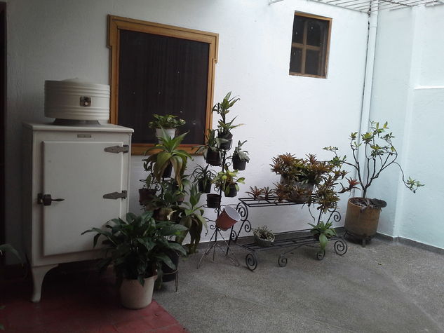 I love plants!