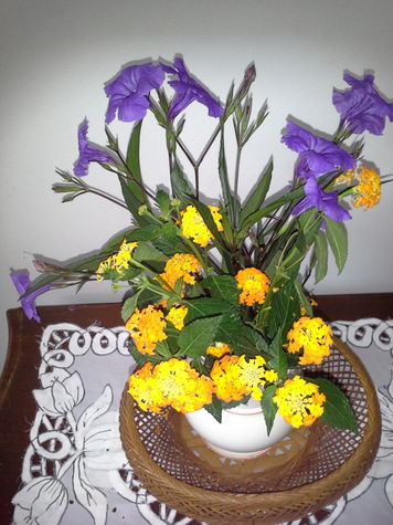 Wild flowers everywhere.