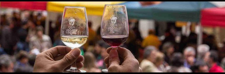 festes tradicions 
festes tradicions 