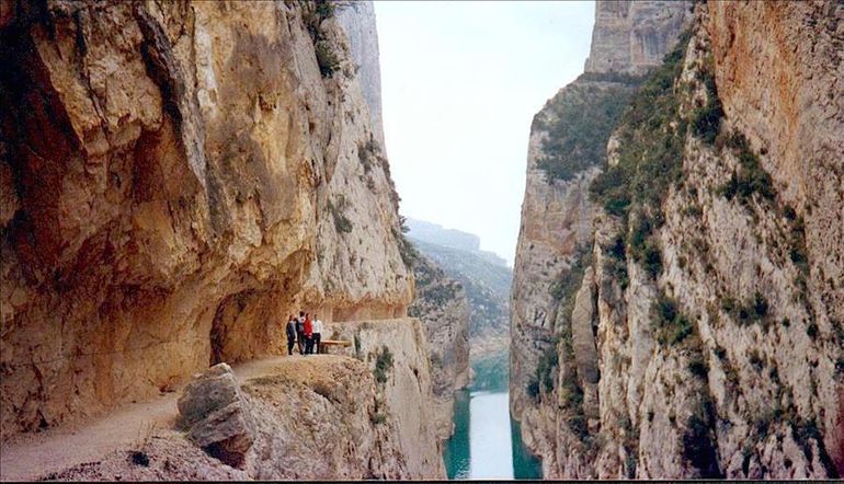 En la mitad copy 
En la mitad copy 