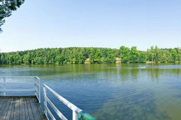 AreaSummer1KM