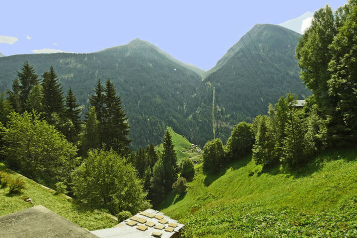 ViewSummer